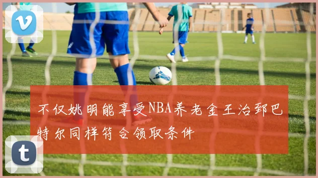 不仅姚明能享受NBA养老金王治郅巴特尔同样符合领取条件
