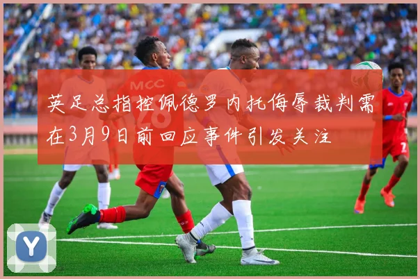 英足总指控佩德罗内托侮辱裁判需在3月9日前回应事件引发关注