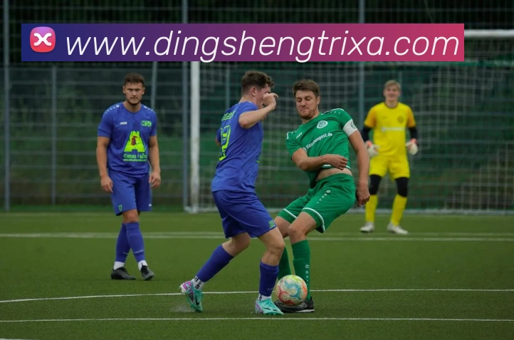 顶盛体育品牌故事