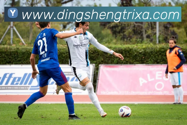 顶盛体育服务体系